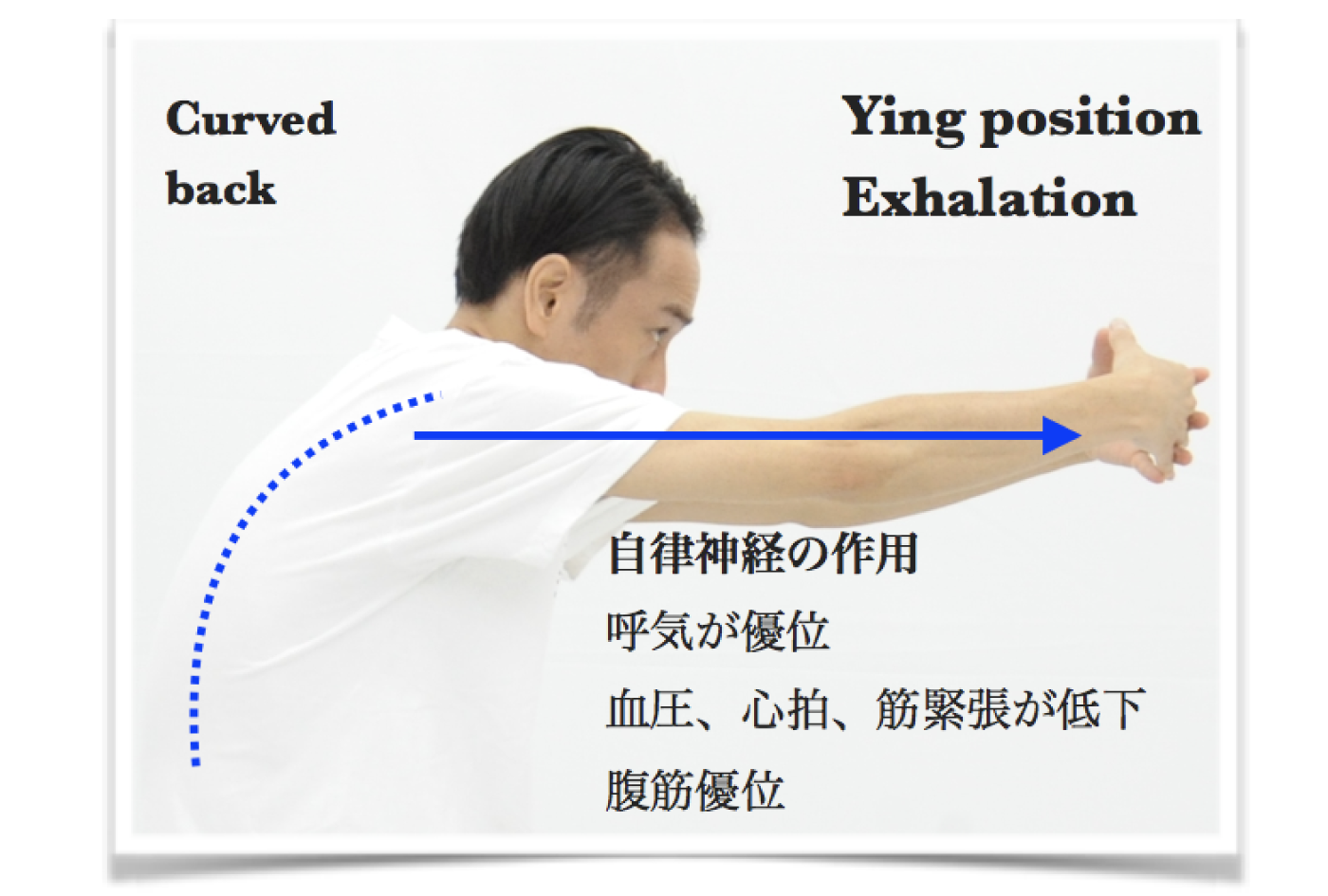 呼吸の見えるヨガ