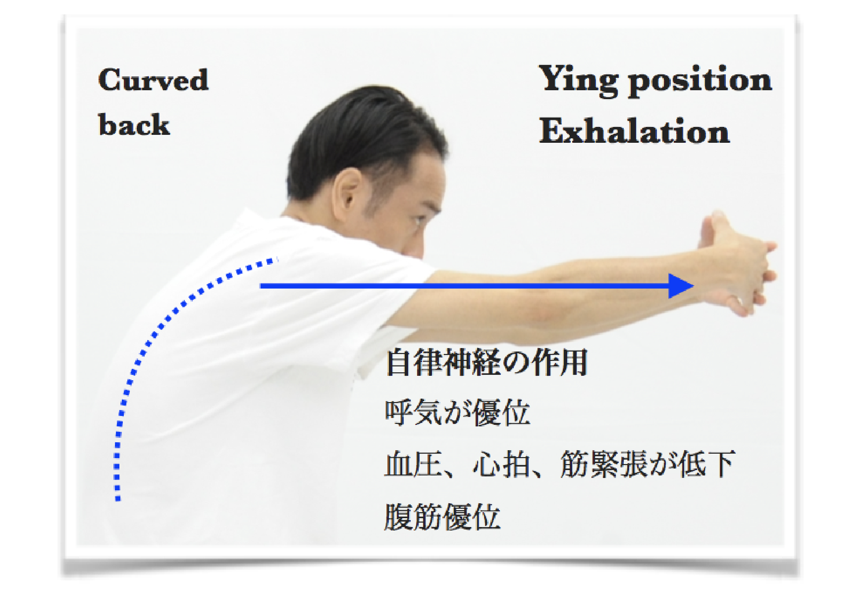 呼吸の見えるヨガイメージ