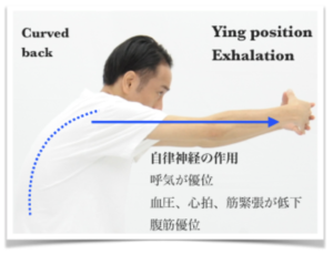 ビンヤサシークエンス