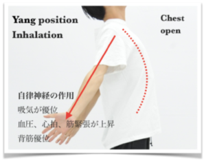 ビンヤサシークエンス