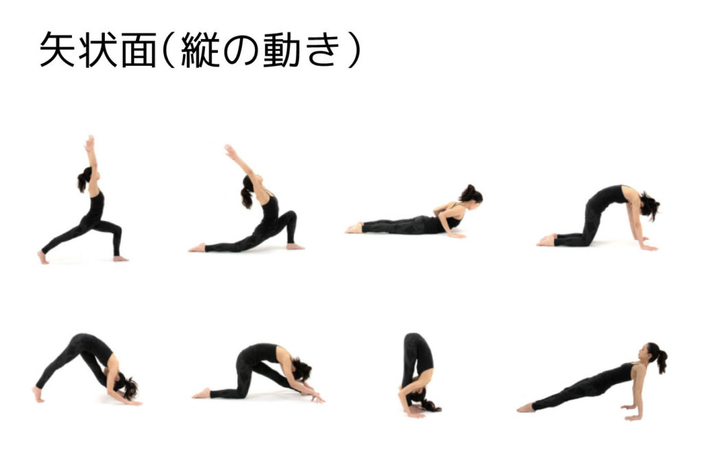 矢状面（縦の動き）