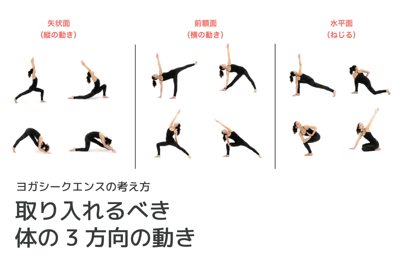 ヨガシークエンスの考え方：取り入れるべき体の3方向の動き