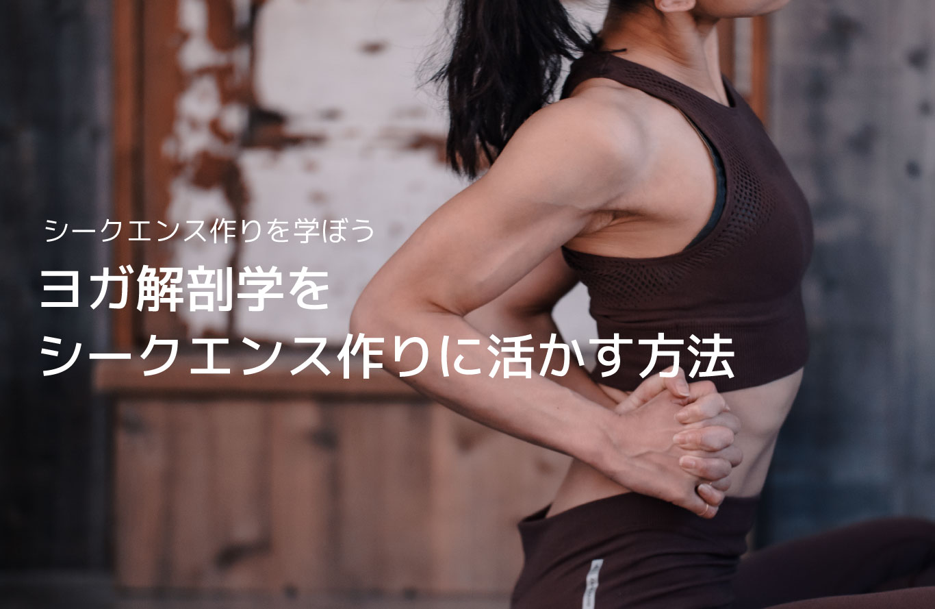 ヨガ解剖学をシークエンス作りに活かす方法